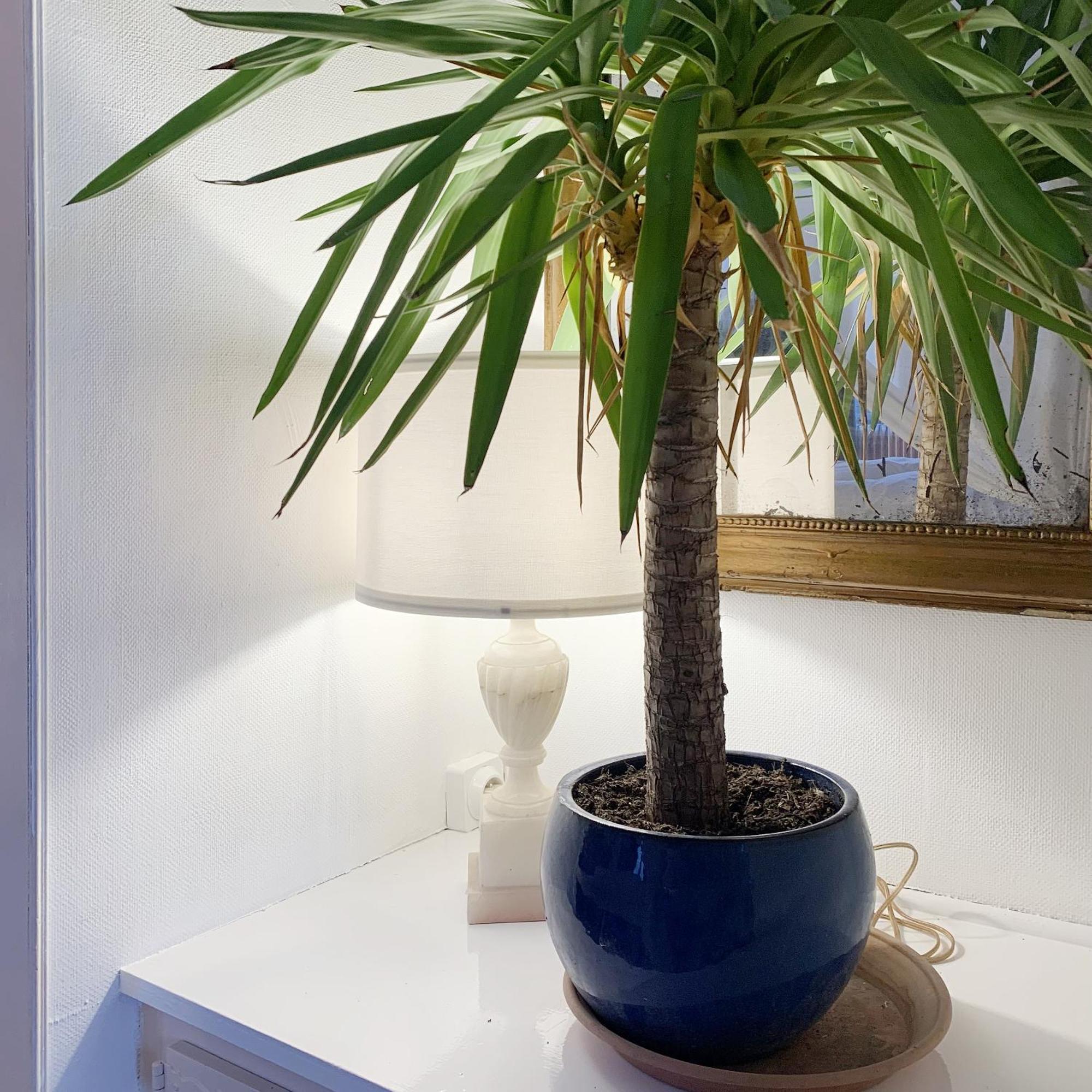 סנליס Appartements 4 Vents By La Boite En Plus מראה חיצוני תמונה